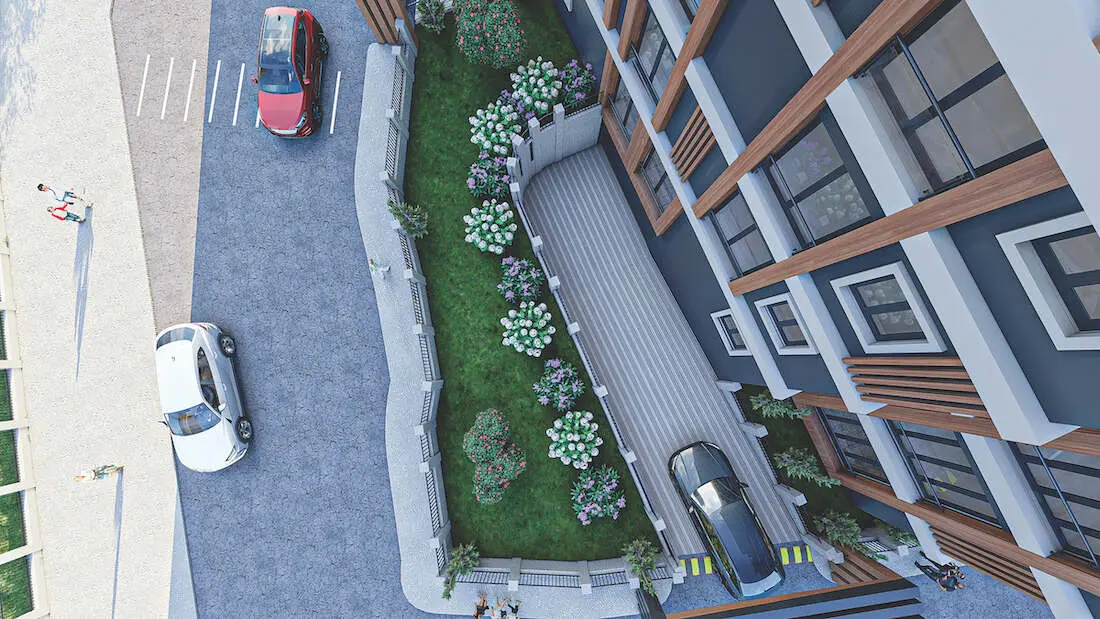 Mature garden